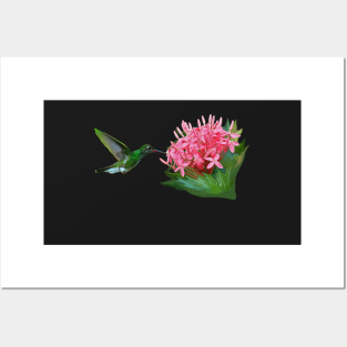 Hummingbird and pink flowers Posters and Art